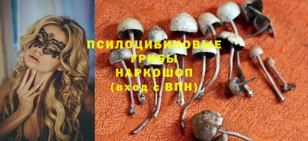 стаф Алексин