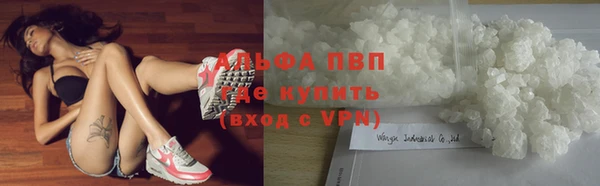 стаф Алексин