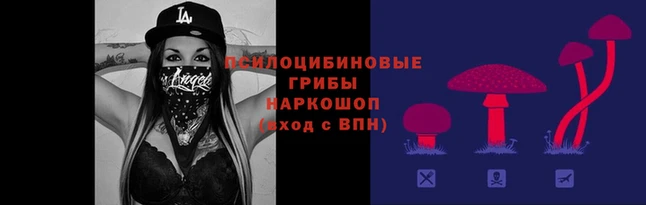 кокаин колумбия Алзамай
